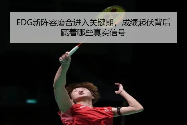 EDG新阵容磨合进入关键期，成绩起伏背后藏着哪些真实信号